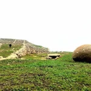 monte d'accodi
